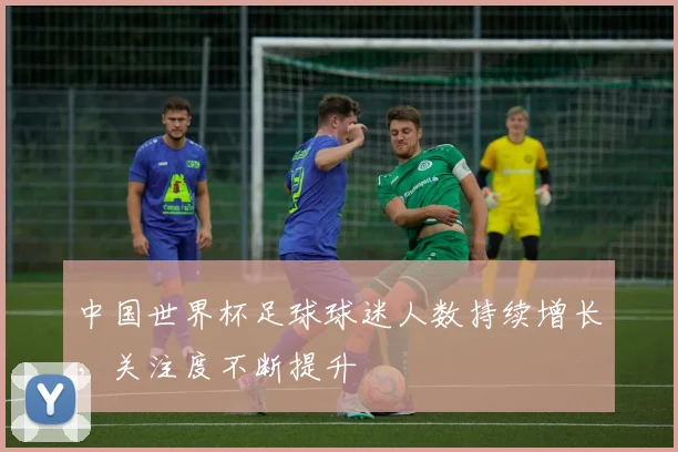 中国世界杯足球球迷人数持续增长，关注度不断提升
