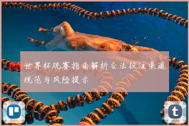 世界杯观赛指南解析合法投注渠道规范与风险提示